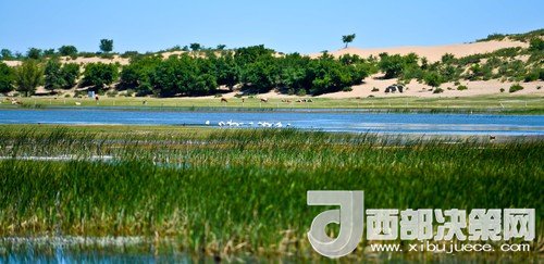 阿魯科爾沁保護(hù)區(qū)濕地沙丘。吳勇攝