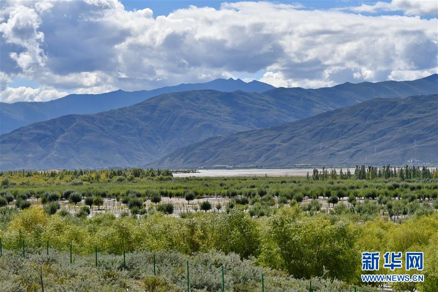 （圖文互動(dòng)）（4）“今天的生活，就像夢(mèng)里夢(mèng)到那樣甜”——寫在西藏百萬農(nóng)奴解放61周年之際