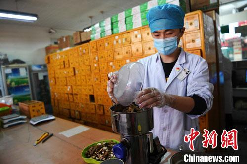 疫情發(fā)生以來(lái)，甘肅確保所有病例盡早、及時(shí)、全程使用中醫(yī)中藥，努力做到“一患一方案”。(資料圖) 楊艷敏 攝