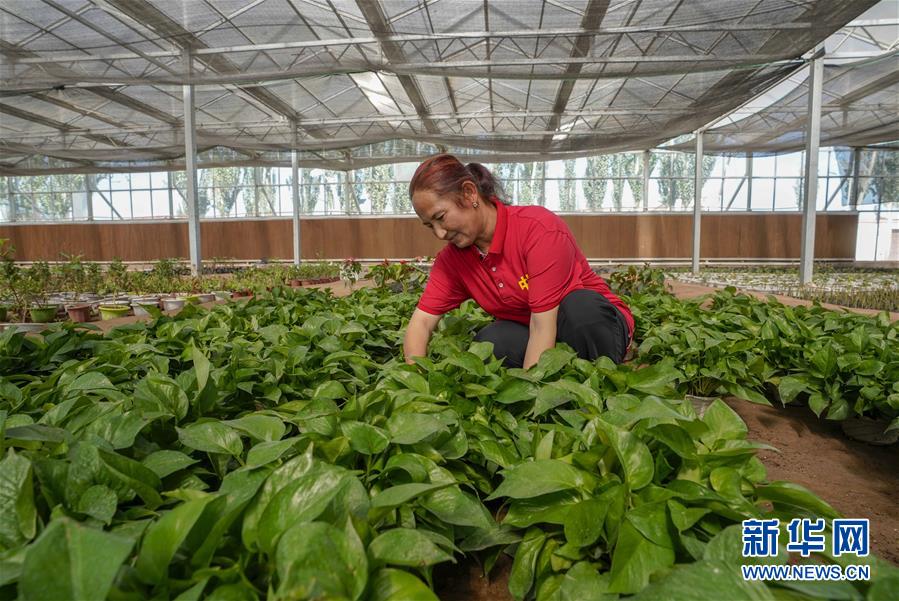 （新華全媒頭條·圖文互動）（11）旗引天山南北　譜寫發(fā)展新篇——以習(xí)近平同志為核心的黨中央關(guān)心新疆工作紀實