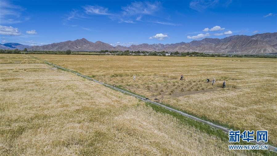 （新華全媒頭條·走向我們的小康生活·圖文互動(dòng)）（11）扎西德勒，我們的新家園——西藏易地扶貧搬遷搬出幸福美好新生活