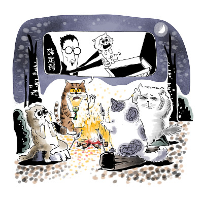 ▲物理學家薛定諤曾用一只貓比喻量子疊加。圖片來源：視覺中國