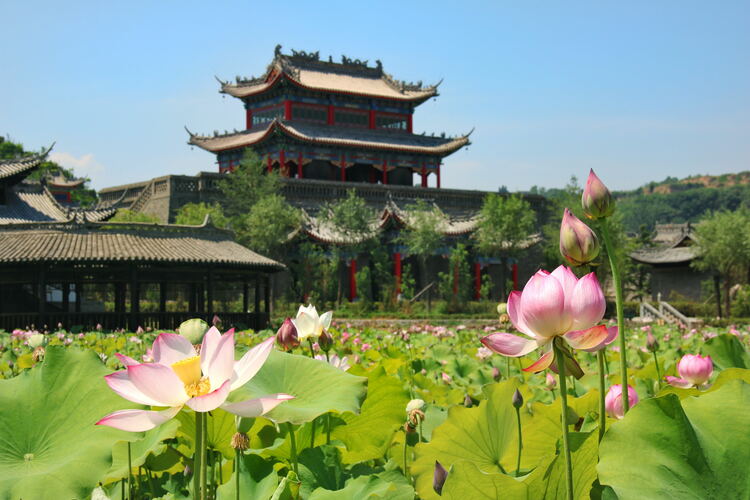 【云游渭南】心中若有桃花源，此處便是水云間！待疫情散盡，一起來渭南桃花源賞美景、觀民俗、享美食_fororder_2